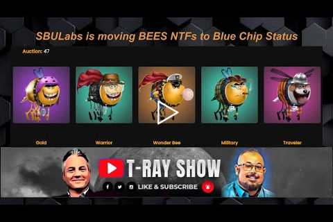SBULabs is moving BEES NTFs to Blue Chip Status