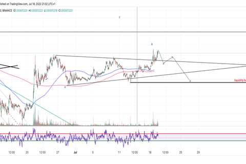 A true bull run or the ultimate bear trap - Shiba Inu Market News