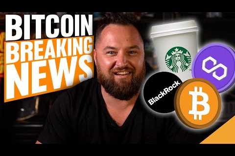 BEST BITCOIN NEWS OF THE YEAR! (Top Altcoin Price Action!)