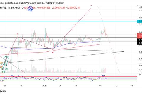 This indicator suggests whales are officially hodling the Shiba Inu price - Shiba Inu Market News