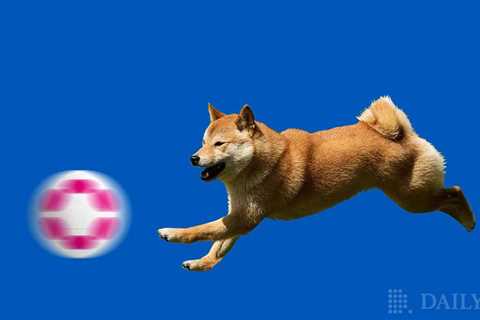 Polkadot (DOT) Overtakes Dogecoin (DOGE) By Market Cap Despite Core Update - Shiba Inu Market News