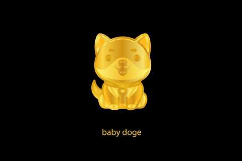 Baby Dogecoin Swap Ready To Launch, TestNet Date Revealed – The Crypto Basic