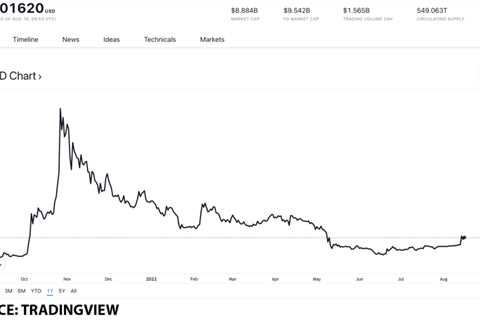 Is Shiba Inu worth buying after SHIB transactions peak at a 4-month high - Shiba Inu Market News