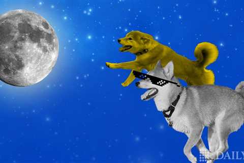 Dog Race Between SHIB & DOGE: Which Memecoin To The Moon First? - Shiba Inu Market News