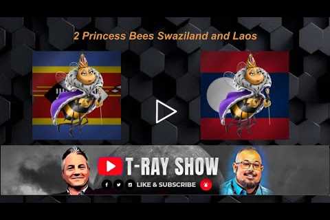 Swaziland and Laos Princess Bees | SBU auction | Blue Chip NFTs