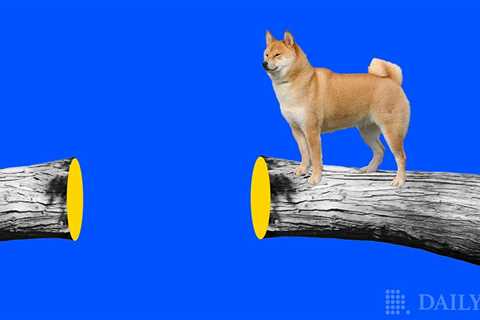 The Dogecoin-Ethereum Bridge Will Launch In 2022, Billy Markus Speaks - Shiba Inu Market News