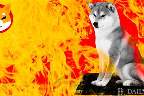 Shiba Inu (SHIB) Burn Rate Accelerates By 123% Prior To Shibarium Upgrade - Shiba Inu Market News