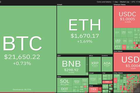 BTC, ETH, BNB, XRP, ADA, SOL, DOGE, DOT, SHIB, MATIC - Shiba Inu Market News