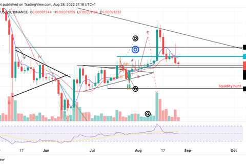 How the Shiba Inu price is preparing to wipe all gains made this summer - Shiba Inu Market News