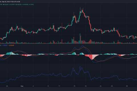 An eye on Dogecoin’s [DOGE] >$2M whale activity reveals…