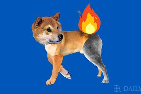 Shiba Inu (SHIB) Main Developer Teases Additional SHIB Burning Options - Shiba Inu Market News