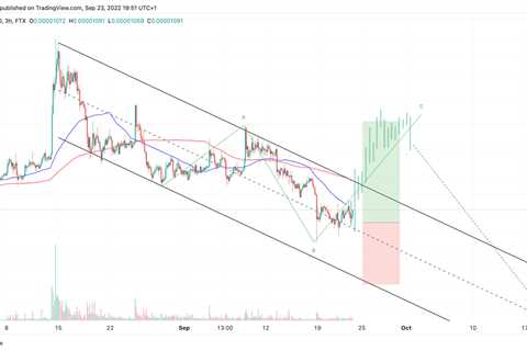 This is what happens when Ethereum whales move 4.35 trillion SHIB - Shiba Inu Market News