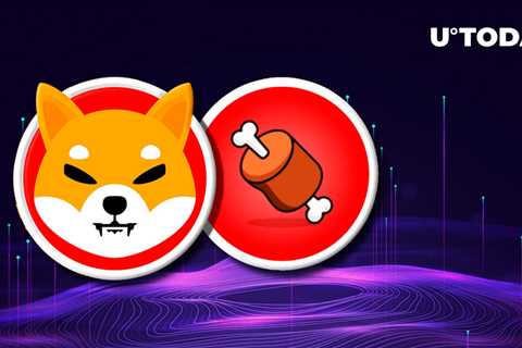 Shiba Inu's BONE Lists on This Top Crypto Exchange: Details - Shiba Inu Market News