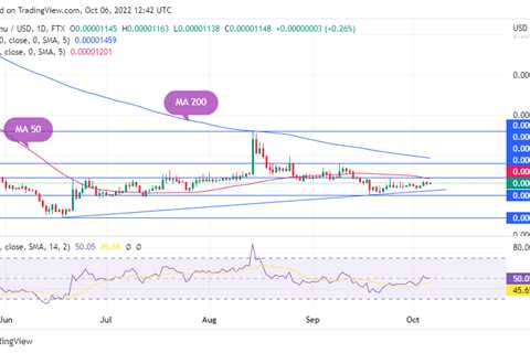 SHIB Price Might Make Significant Move per This Indicator: Details - Shiba Inu Market News