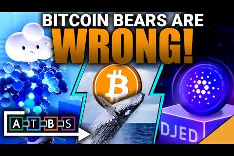 Bitcoin Bears are WRONG! (Exclusive Insight on Cardano Stablecoin)