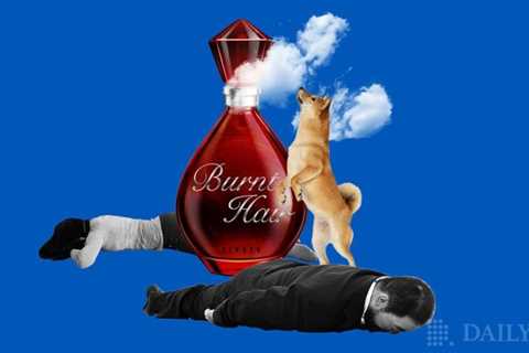 Dogecoin (DOGE) Rises Above Support Line as Elon Musk Sells Fragrance in DOGE