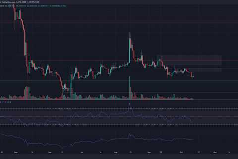 Shiba Inu investors might want to wait for another leg lower before buying - Shiba Inu Market News