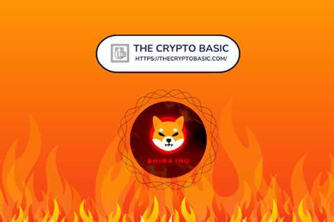 Mysterious Wallet Burns 116 Million Shiba Inu, 132 Million Shib Destroyed In 24 Hours