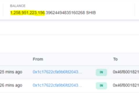 Shiba Inu whales scoop up 256 billion SHIB as price witnesses trend reversal - Shiba Inu Market News