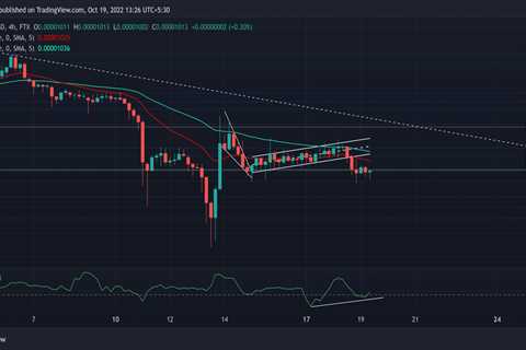 Assessing Shiba Inu's [SHIB] probable response to this breakout - Shiba Inu Market News