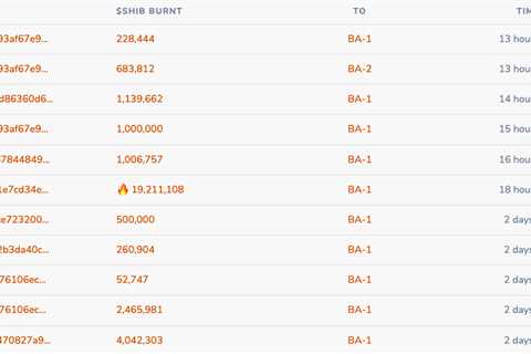 SHIB prepares to eat one zero after burn rate jumps up 1,494% - Shiba Inu Market News