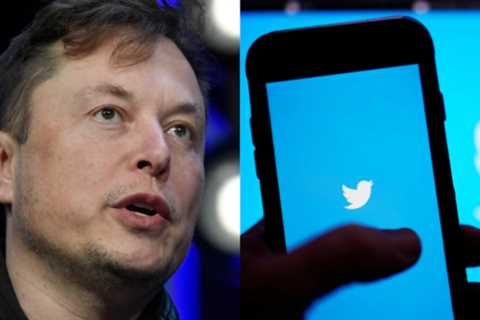 SHIB 8% Gain Bigger Than TWTR's As Elon Musk Set For Twitter Takeover - Shiba Inu Market News