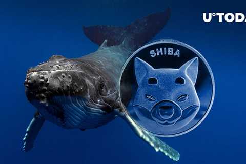 Mysterious Whales Move Trillions of SHIB as Transactions Jump 154% - Shiba Inu Market News
