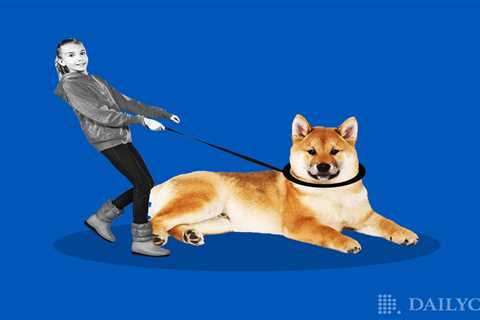 Investors Are Looking at BudBlockz Instead of Shiba Inu - Shiba Inu Market News