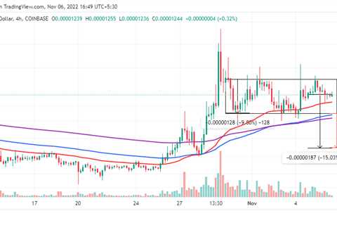 Profit taking could drag SHIB price 15% down - Shiba Inu Market News