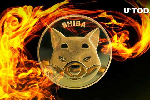 SHIB Burn Rate Spikes 1083% Amid Highest Daily Burn in Weeks - Shiba Inu Market News