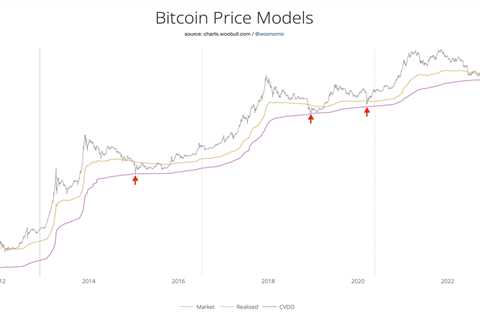 How low can the Bitcoin price go?