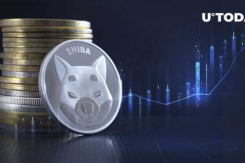 SHIB Price Prepares Major Move, Here Are Potential Reasons - Shiba Inu Market News