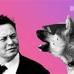 Dogecoin (DOGE) Plunges 20% As Elon Musk Contemplates Twitter Resignation - Shiba Inu Market News