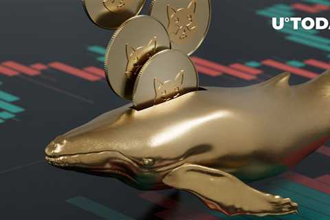 Trillions of SHIB Moved by Whales and Crypto Exchange Under Fire: See Details