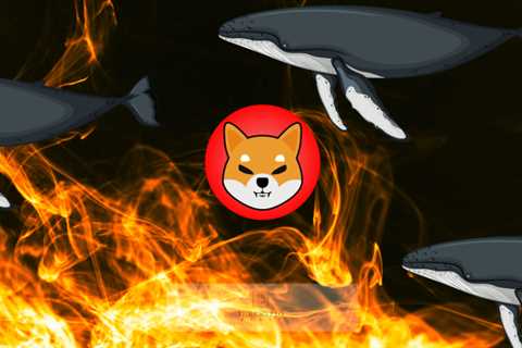 Two Mysterious Whales Add 555 Billion Shiba Inu