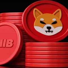 Shiba Inu's Shibarium Beta Launch Almost Here, Says Official Portal - Shiba Inu Market News