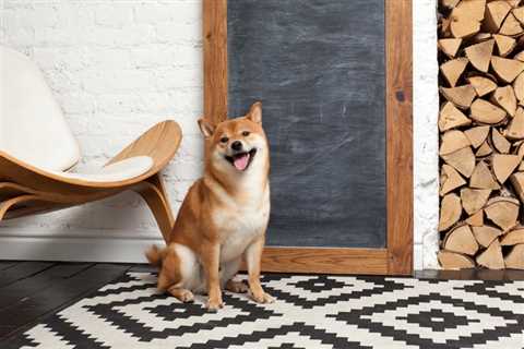 Here's How Long It Will Take Shiba Inu to Reach $1 - Spoiler: It Won't Happen in 2023 - Shiba Inu..