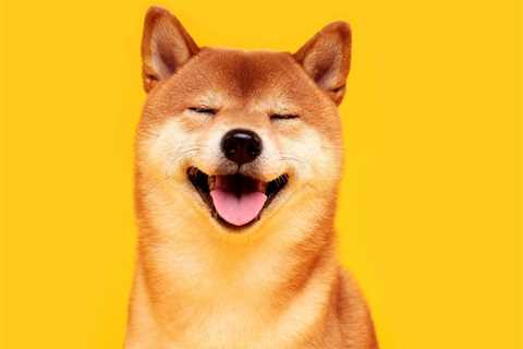 SHIB Surges 20%, DOGE up 5% as Traders Continue to Ape Into Meme Coins
