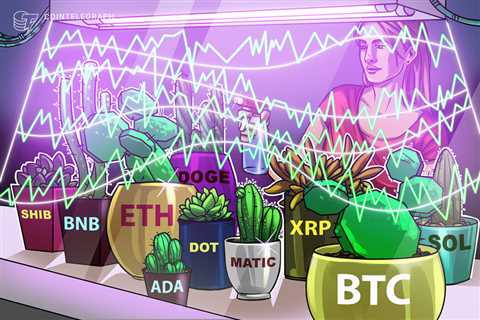 Price analysis 2/24: BTC, ETH, BNB, XRP, ADA, DOGE, MATIC, SOL, DOT, SHIB