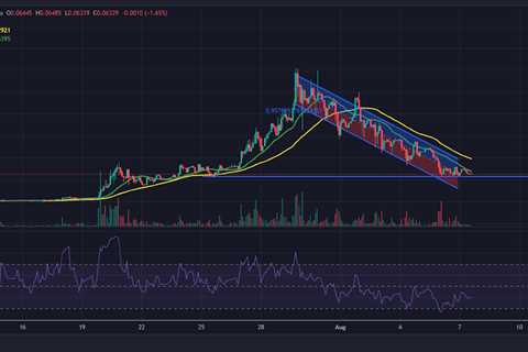 Should Investors Redirect Their Gaze to Rising Star Shibie Coin?